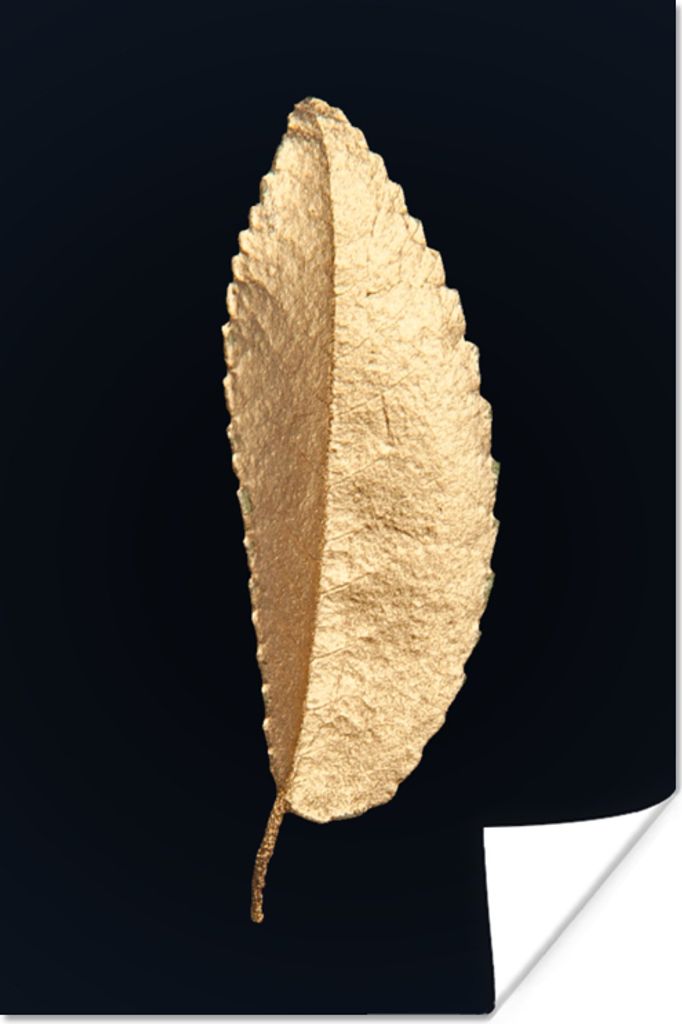 MuchoWow Poster Blätter - Schwarz und Gold - Luxus - Chic - Natur 80x120 cm - Papierdruck