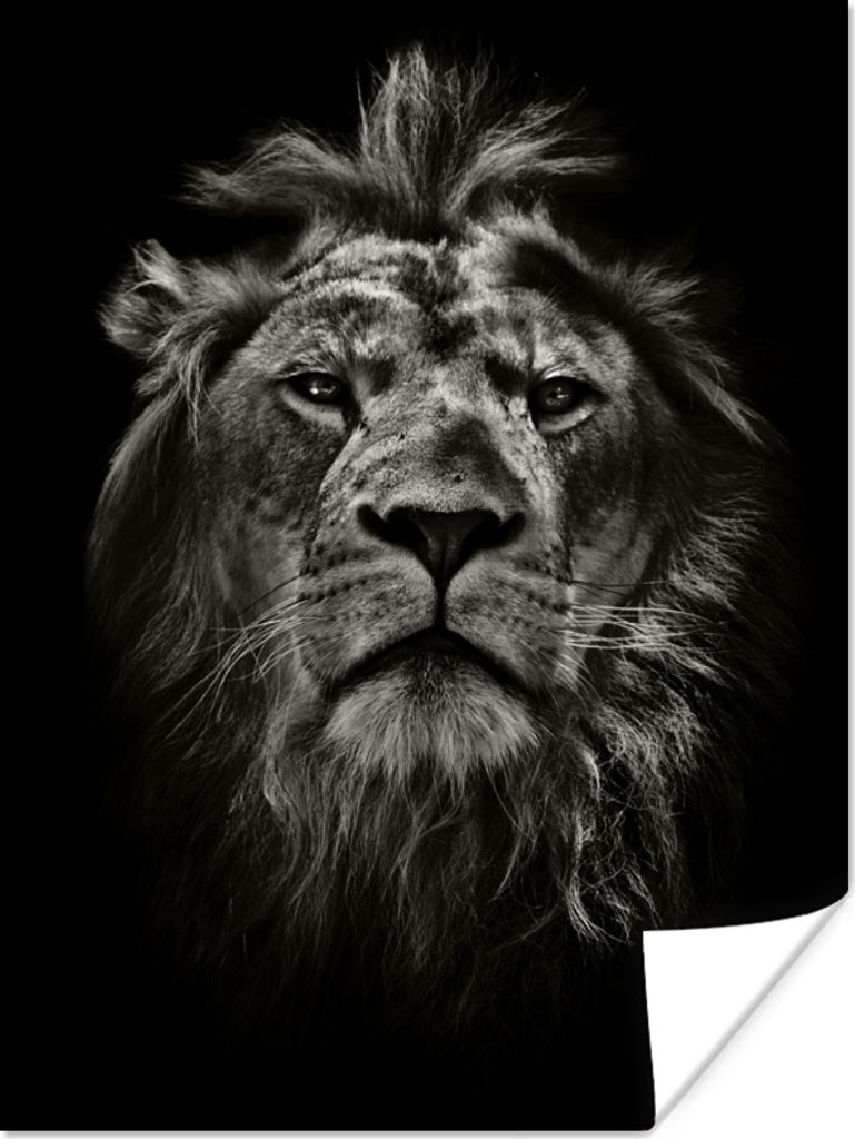MuchoWow Poster Tiere - Schwarz - Weiß - Porträt 60x80 cm - Schlafzimmer Dekoration