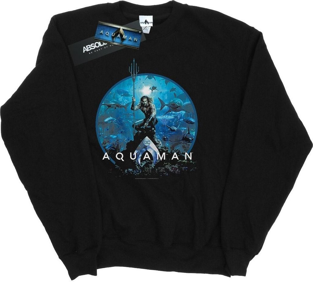 DC Comics - Sweatshirt für Damen BI6898 (S) (Schwarz)