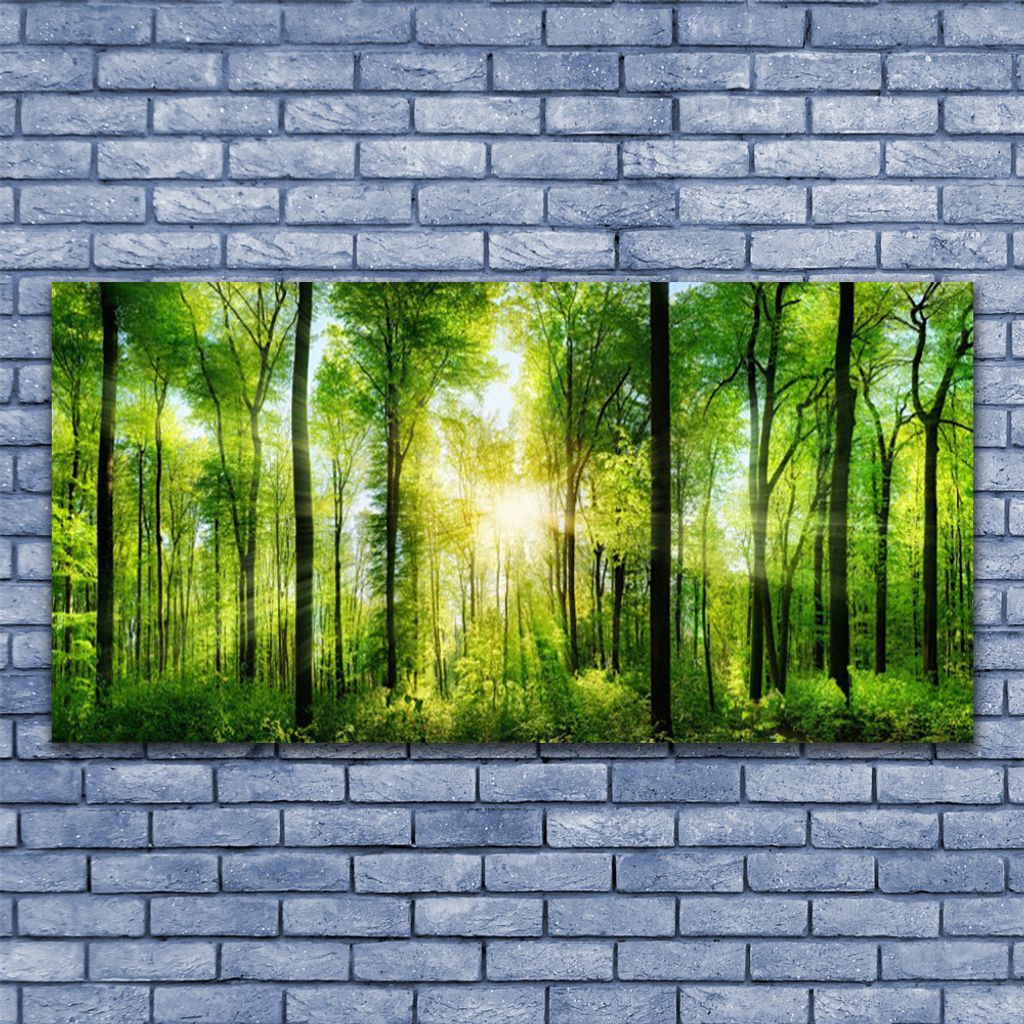 Acrylglasbilder Wandbilder Druck 125x50 Wald Natur 