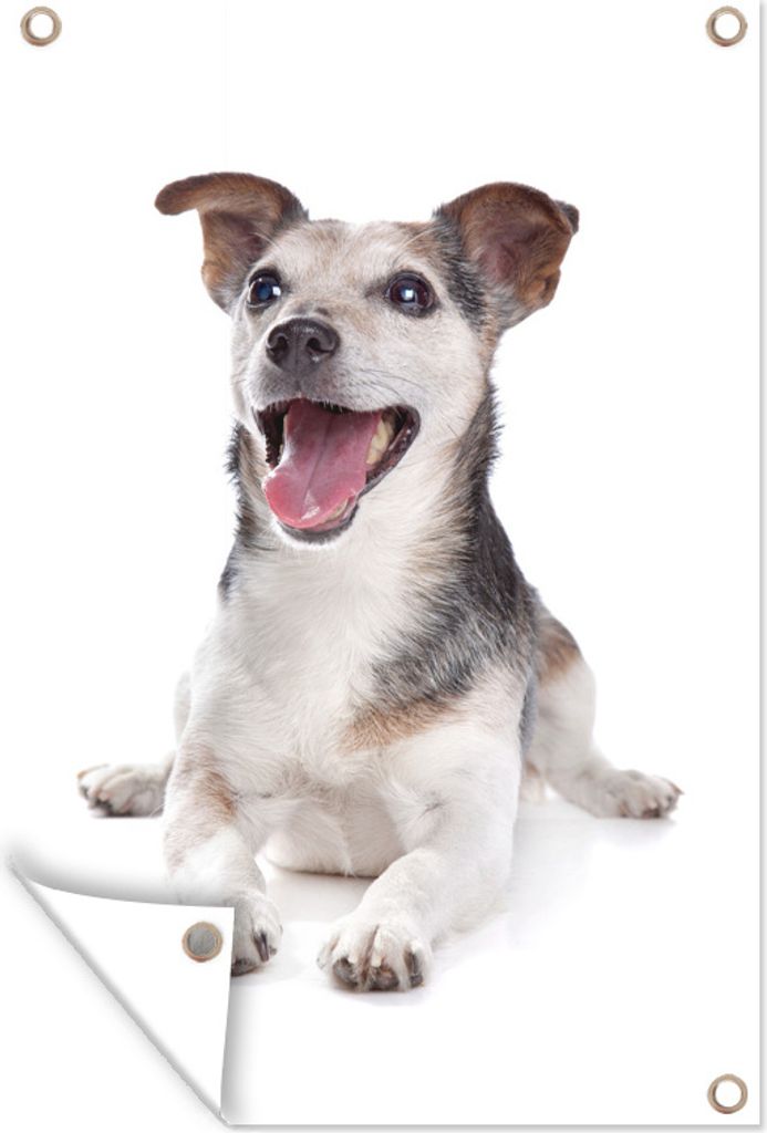 MuchoWow 80x120 cm Outdoor-Poster Gartendeko Sichtschutz Garten Poster für den Garten Glücklicher Jack Russel