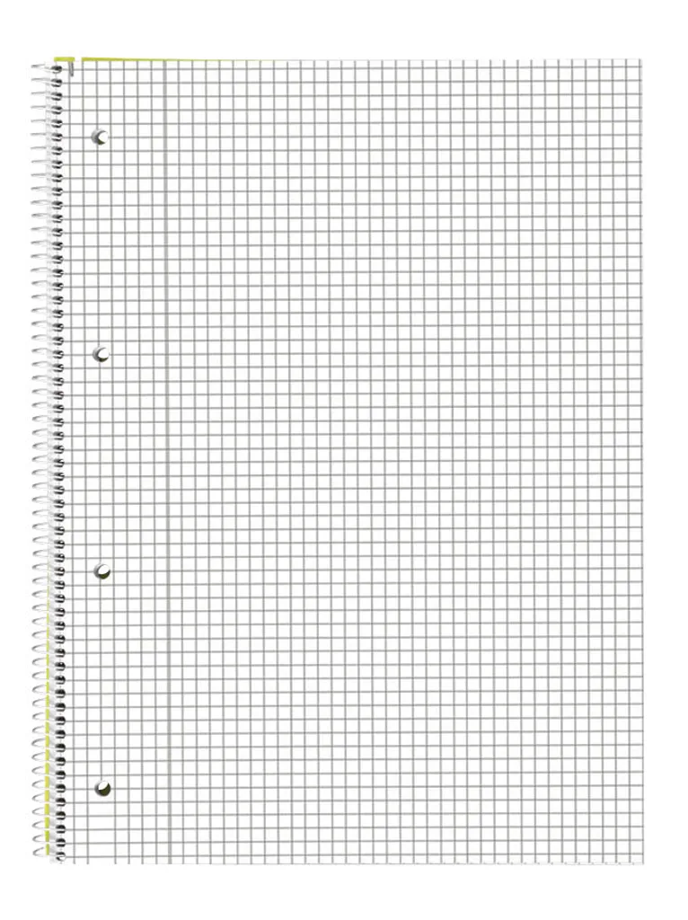 Ne perdez plus vos notes : Lot 5 Blocs A4 Quadrillés BRUNNEN 1067942 Pro - 4