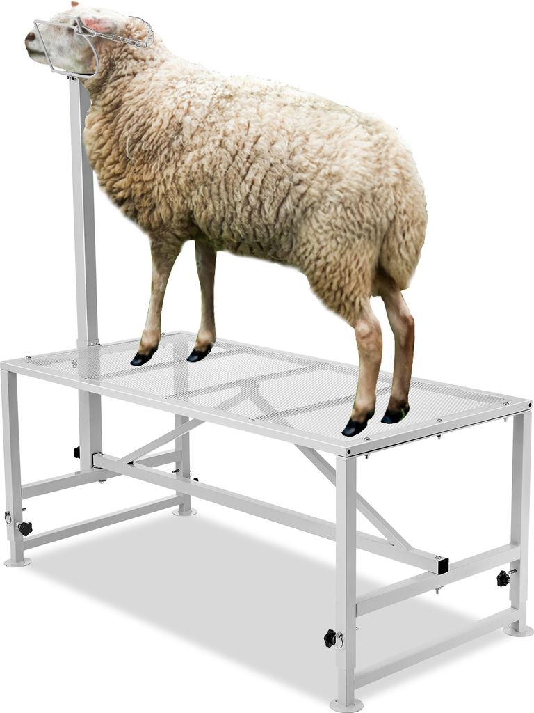 VEVOR Trimmständer, 1195 x 584 mm Viehstand, Metallstand Produktbild 