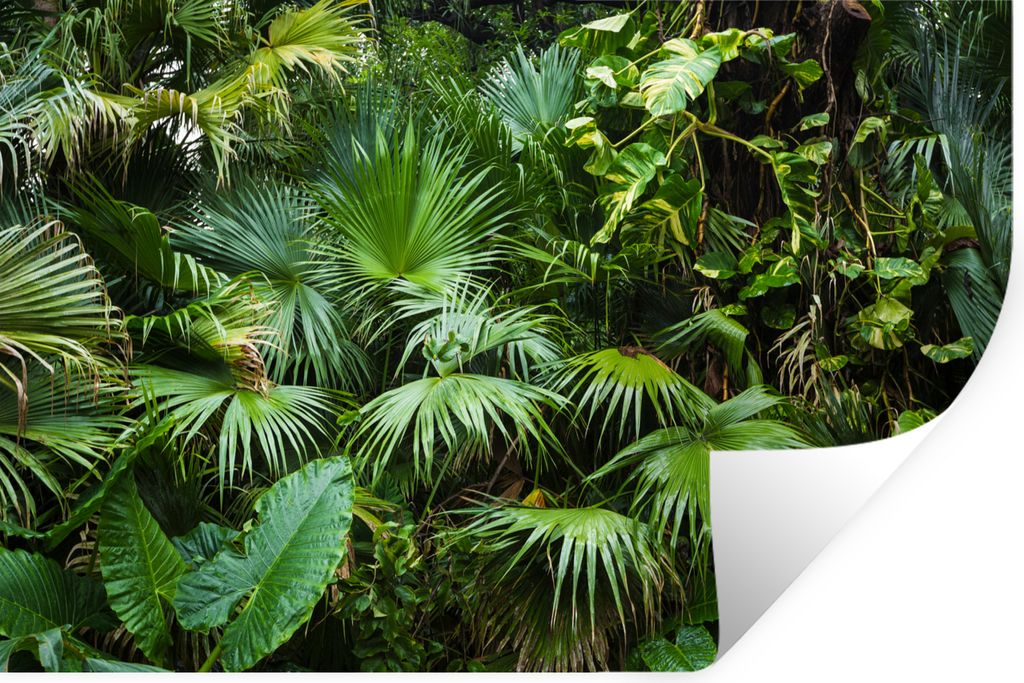 MuchoWow Wandtattoo Wandsticker Wandaufkleber Palmwedel - Sonne - Tropisch 30x20 cm Selbstklebend und Repositionierbar - Wierderverwendbar - Selb...