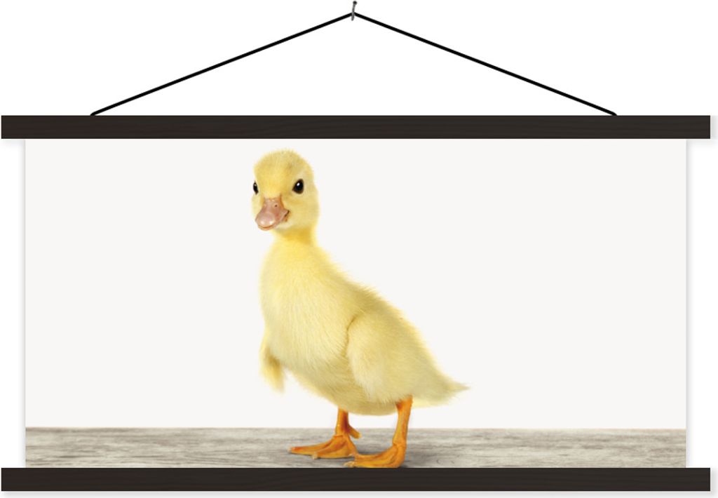 MuchoWow® Textilposter Ente - Küken - Tiere - Süß - Mädchen Produktbild 