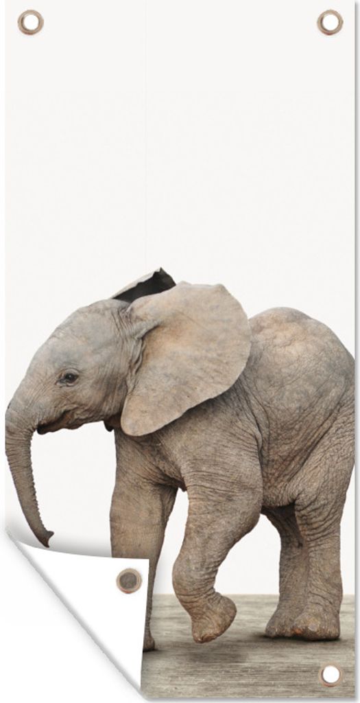 MuchoWow 80x160 cm Outdoor-Poster Gartendeko Sichtschutz Garten Poster für den Garten Baby-Elefant - Tiere - Kinder - Mädchen - Jungen