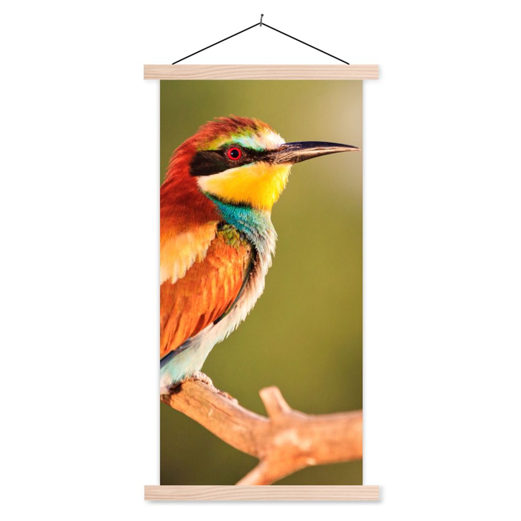 MuchoWow Textilposter Vögel - Bienenfresser - Regenbogen - Tiere 60x120 cm mit holzfarbenen Rahmen - Holz
