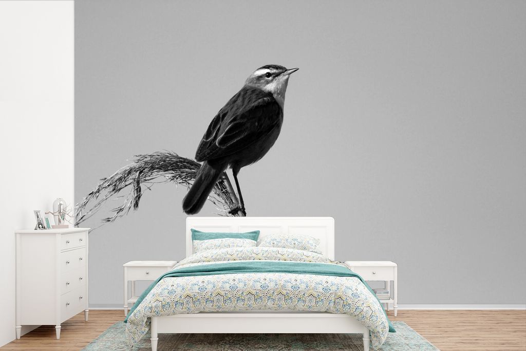 MuchoWow Fototapete für Wohnzimmer oder Schlafzimmer Wandtapete Vinyl Motivtapete Ein Seggenrohrsänger blickt auf die Landschaft - schwarz-wei...