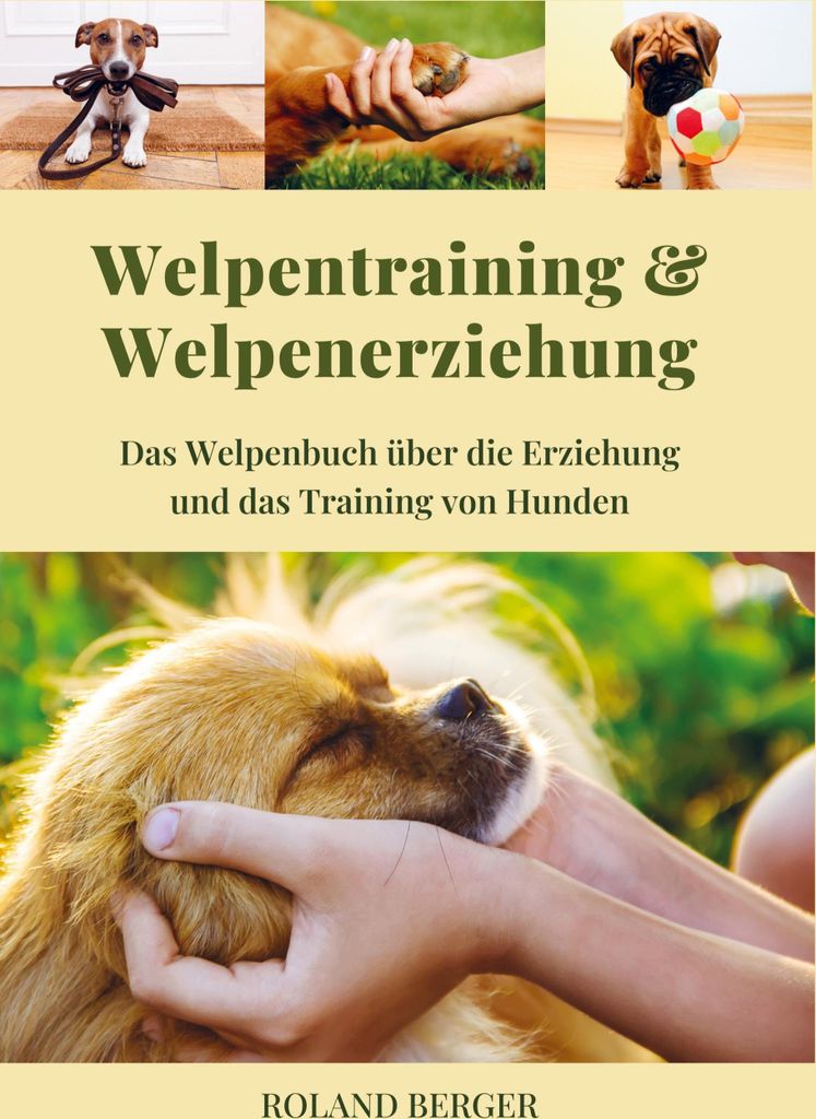 Welpenerziehung und Welpentraining
