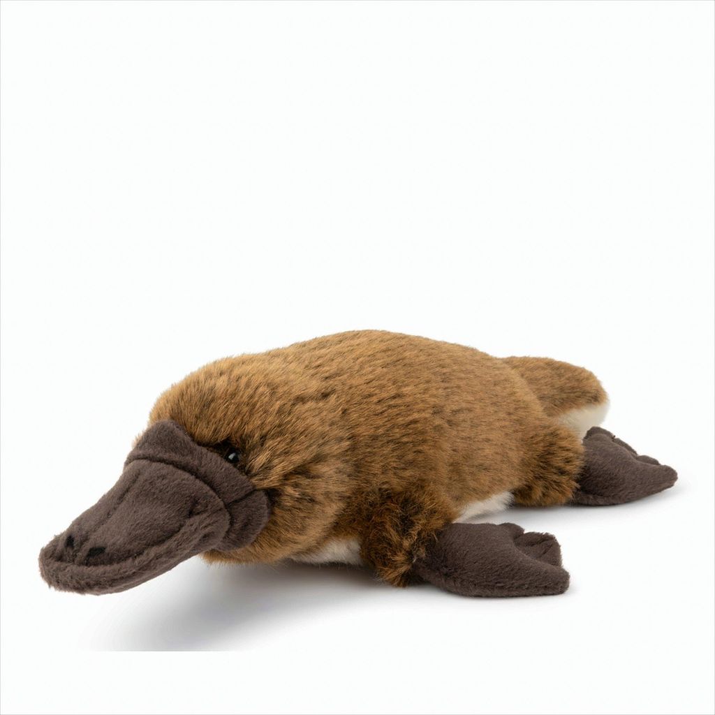 A plush toy platypus lying on a white background.