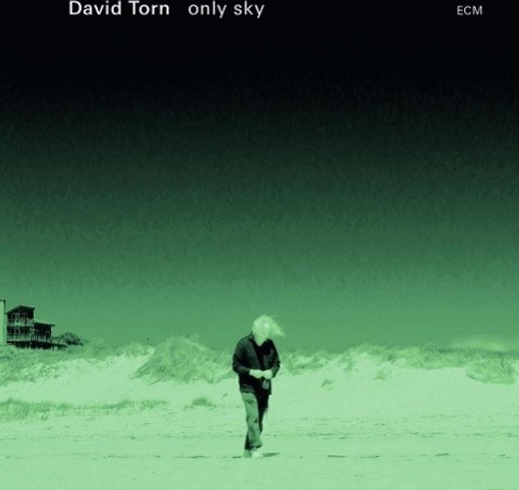 Torn,David-Only Sky