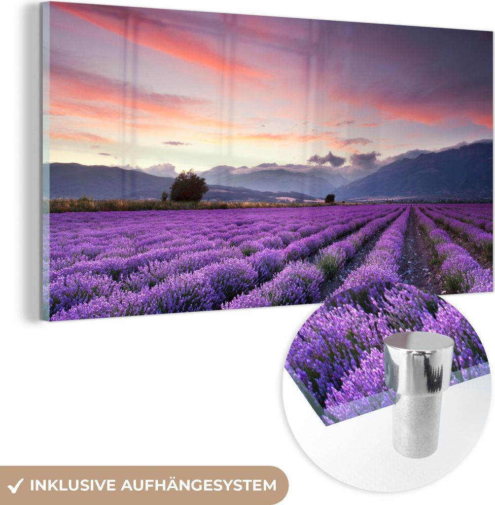 MuchoWow Glasbilder - Bilder auf Wandbild - Foto auf Glas Sonnenuntergang über Lavendel 80x40 cm Wanddekoration aus Glas - Acrylglasbild - Acrylbi...