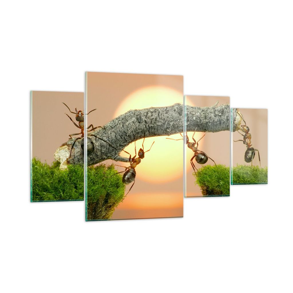 Bilder auf glas - Tiere Ameisen Brücke Natur - 160x90cm - Glasbilder - Wandbilder - Kunstdruck - zum Aufhängen bereit - Wanddekoration aus Glas -...
