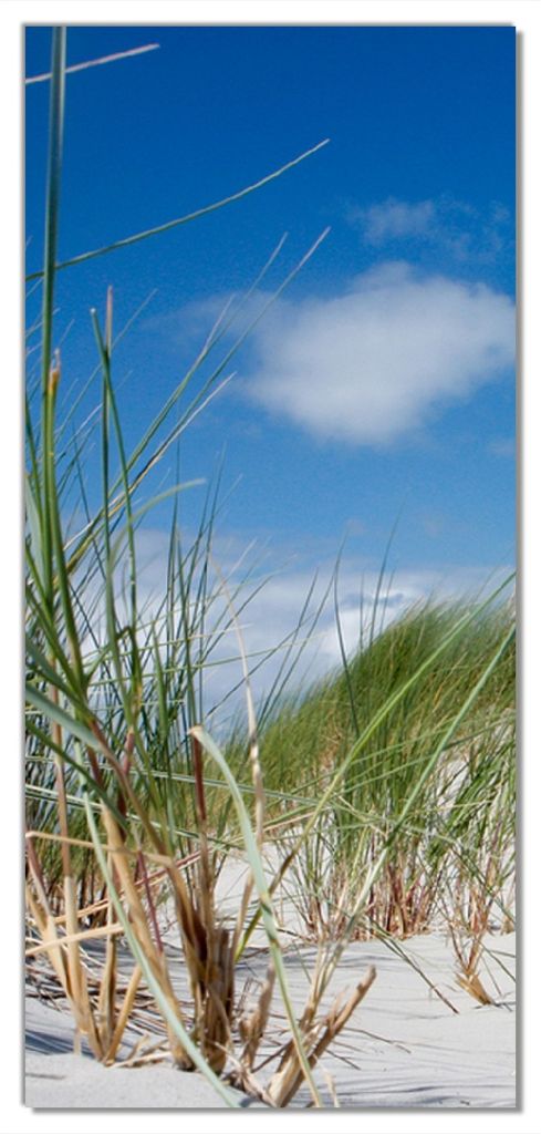 Wallario selbstklebende Türtapete 100 x 220 cm mit Schutzlaminat - Düne am Strand unter blauem Himmel