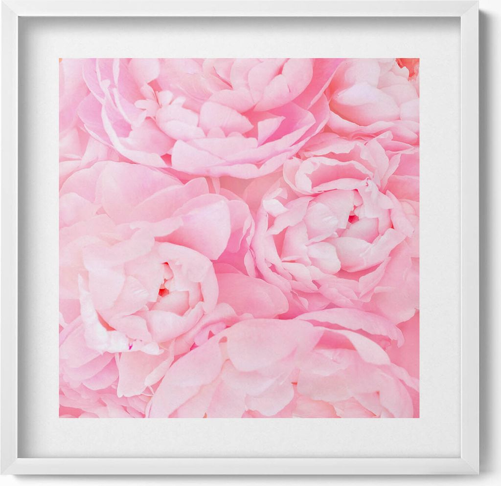 Blühende Blumen– Wandbild mit Rahmen – Gerahmtes Bild – Wanddekoration – 50x50 cm – Weiß Rahmen