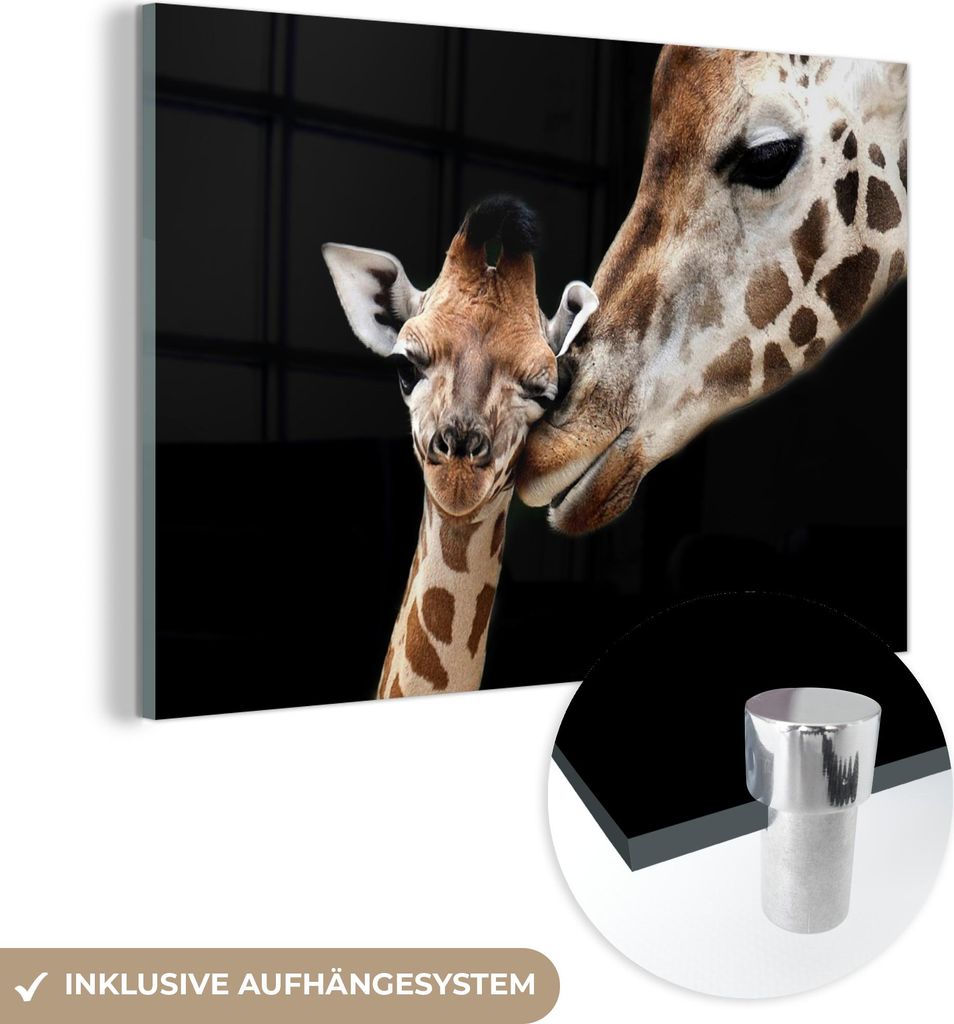 MuchoWow Glasbilder - Bilder auf Wandbild - Foto auf Glas Giraffe - Tiere - Schwarz - Porträt - Tiere 60x40 cm Wanddekoration aus Glas - Acrylglas...