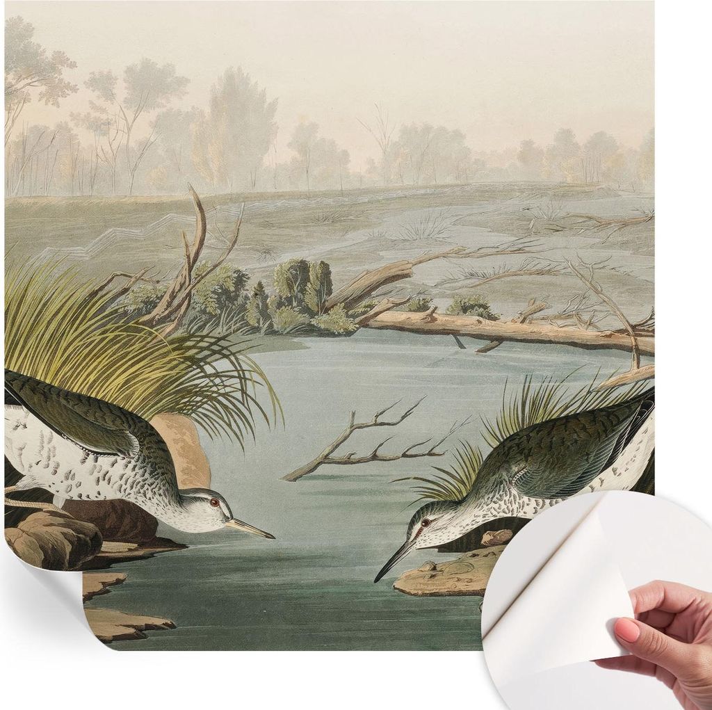 Selbstklebende Wandtapete - Dekorative Tapete für Wohnzimmer - Klebefolie für Wandbilder - Tapetenfolie für Wanddekoration - 250x250 cm - Eine f...