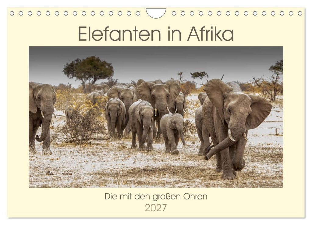 Elefanten in Afrika - Die mit den großen Ohren (Wandkalender 2027 DIN A4 quer), CALVENDO Monatskalender