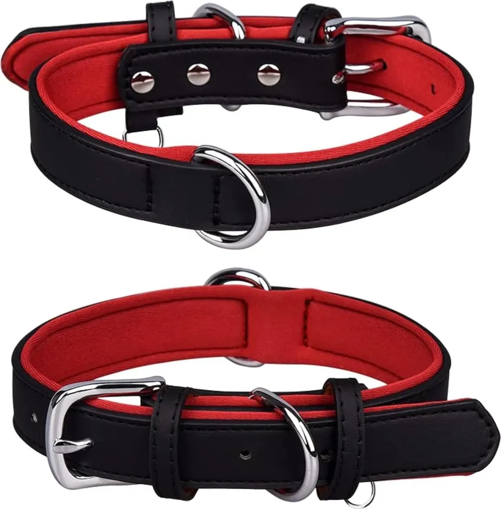 Collier pour chien réglable en cuir noir XL avec rembourrage confort