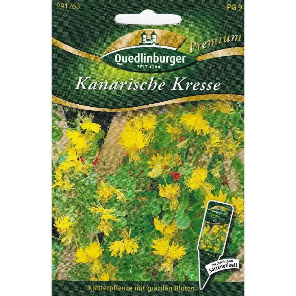 Quedlinburger Saatgut - Kanarische Kresse - Samen - 291763