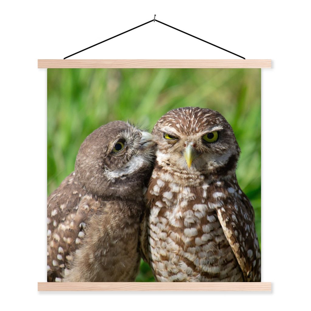 MuchoWow Textilposter Eulen - Vögel - Gras 120x120 cm mit holzfarbenen Rahmen - Textil-Poster