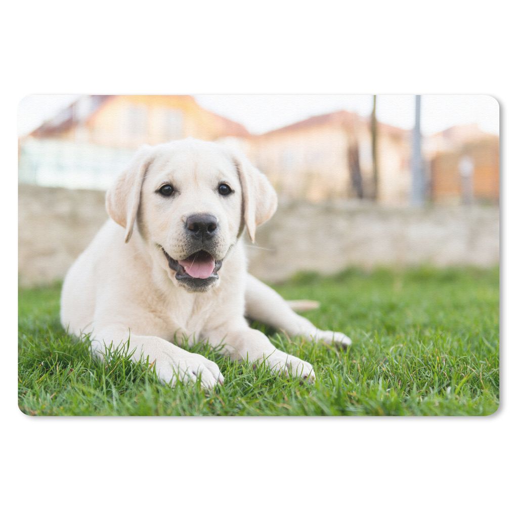 MuchoWow Mauspad Mousepad Weißer Labrador Retriever im Gras liegend 27x18 cm - Mousepads - Maus Mat - Pad - Mausunterlage - Büroartikel - Desk ...