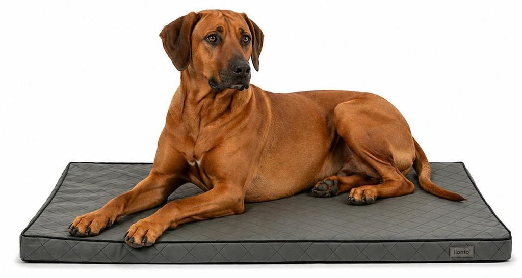 lionto Hundematte orthopädisch, druckentlastende Produktbild 