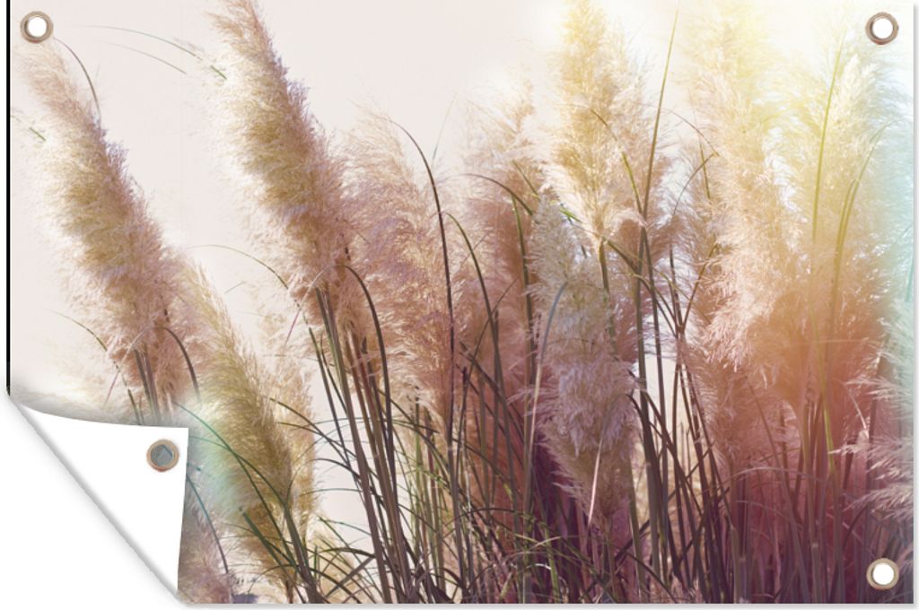 MuchoWow 120x80 cm Outdoor-Poster Gartendeko Sichtschutz Garten Poster für den Garten Stilleben - Farben - Schilf