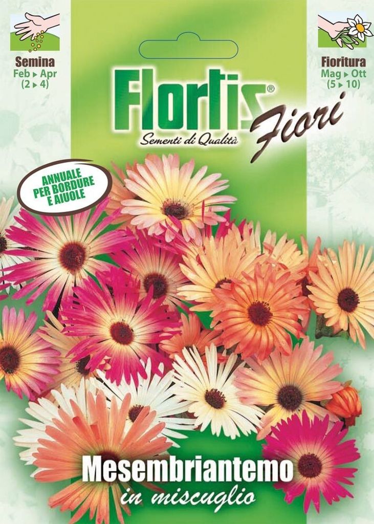 Mittagsblume Mischung | Mittagsblumensamen von Flortis