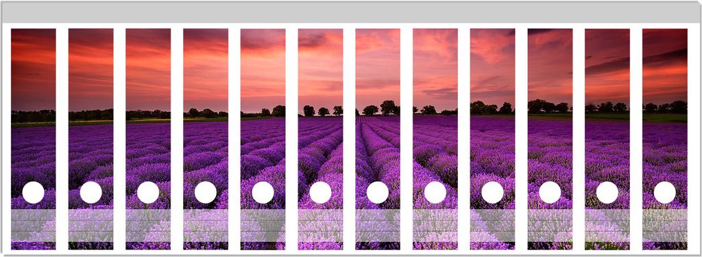 Wallario Ordnerrücken Sticker, selbstklebend für breite Ordner, 12 Stück, Motiv Lavendelfeld unter rotem Himmel