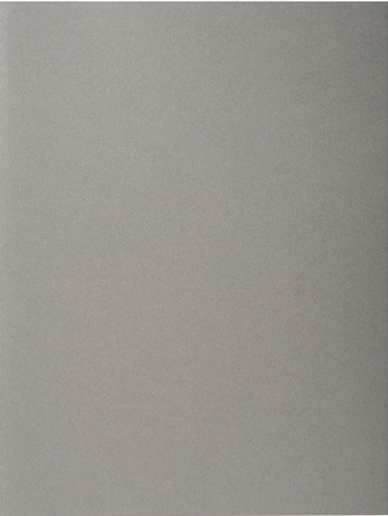 Exacompta Packung mit 100 Aktendeckeln ROCK''S 80, 22x31cm - Grau - 800009E