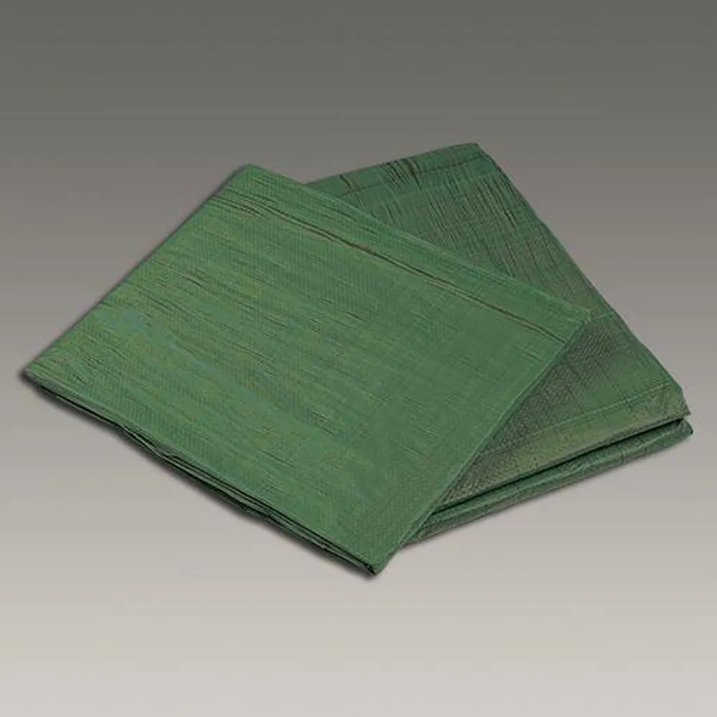 Film de protection armé Den Braven 3 x 4 m anti-déchirure haute densité