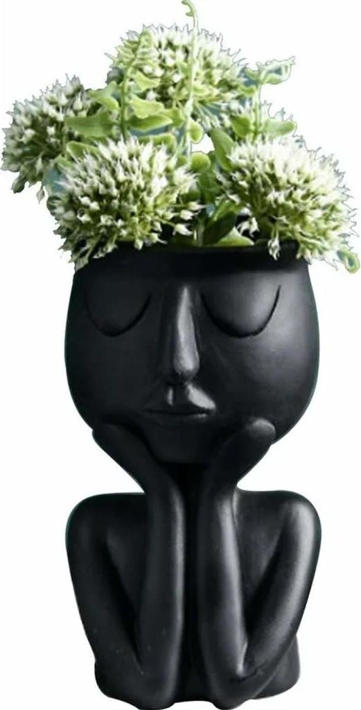 Kreative Vase in nordischer Charakterform, Sukkulenten, Produktbild 