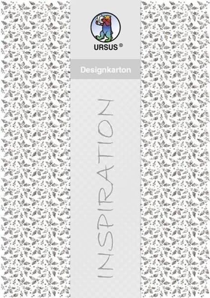 Designkarton silber 200g/qm A4 VE=5 Blatt Motiv 8