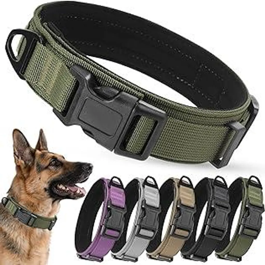 Collare Militare Cane M Verde: Fibbia Sicurezza e Nylon Regolabile Alta Resistenza