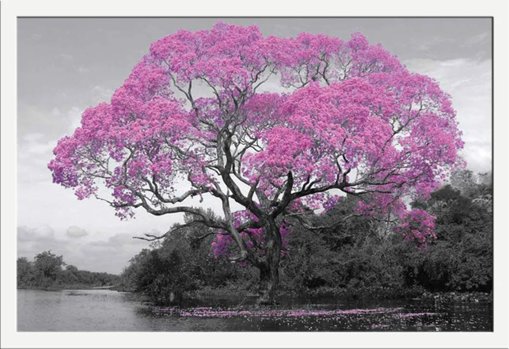 Poster Tree Blossom encadré : kit déco complet Shinsuke blanc et vitre
