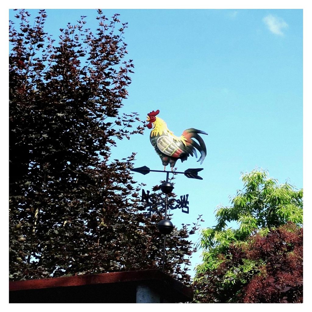Metall-Hahn Wetterfahne, bunte Windanzeige in Hahn-Form, 35×130 cm für Garten und Dachdekoration