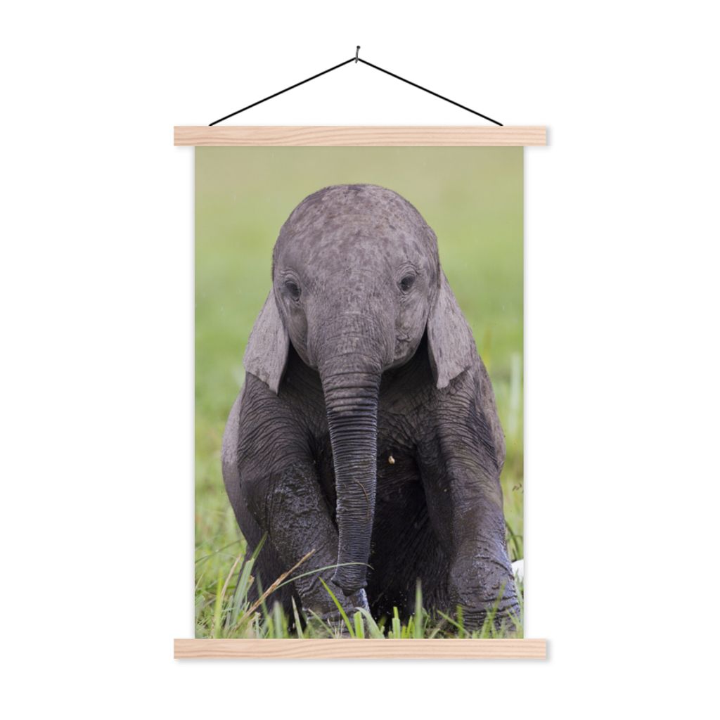 MuchoWow Textilposter Elefant - Baby - Tiere - Gras - Natur 120x180 cm mit holzfarbenen Rahmen - Textil-Plakat