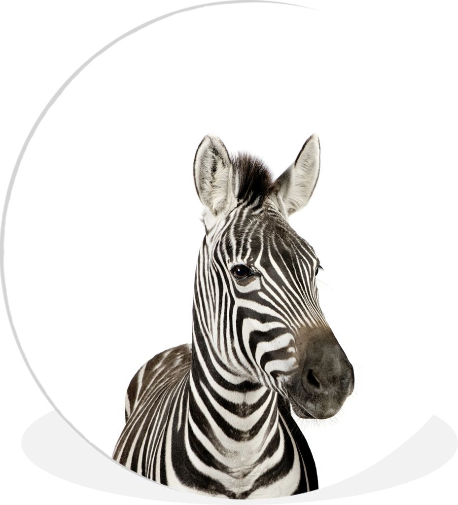 MuchoWow Rundes Wandbild - Runde Bilder Tiere - Zebra - Kinder - Weiß - Porträt - Mädchen Ø 90 cm Kreis Wanddekoration Kunststoff - Wandkreis...