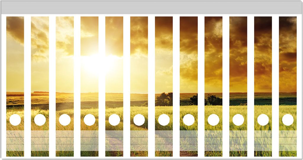 Wallario Ordnerrücken Sticker, selbstklebend für schmale Ordner, 12 Stück, Motiv Feldweg in den Sonnenuntergang