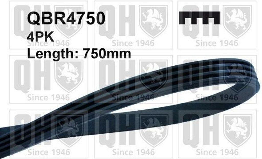 QUINTON HAZELL Keilrippenriemen 750mm für FIAT BRAVO I (182) BRAVA (182) für HYUNDAI GETZ (TB) für KIA Picanto (SA) für SUZUKI SWIFT V (AZ) QBR...