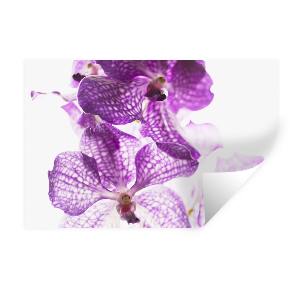 MuchoWow Wandtattoo Wandsticker Wandaufkleber Lila Orchideen 120x80 cm Selbstklebend und Repositionierbar - Selbstklebend - Fototapeten