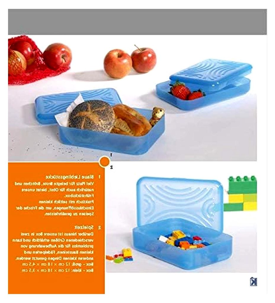 Brotbox Vesperdose Proviantbox Lunchbox Frischhaltedose Vorratsdose, aus Kunststoff, Mehrweggeschirr, Farbe hellblau