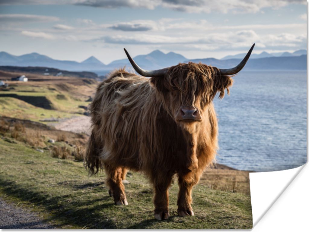 MuchoWow Poster Schottische Highlander - Bergen - Meer 160x120 cm - Foto Plakat