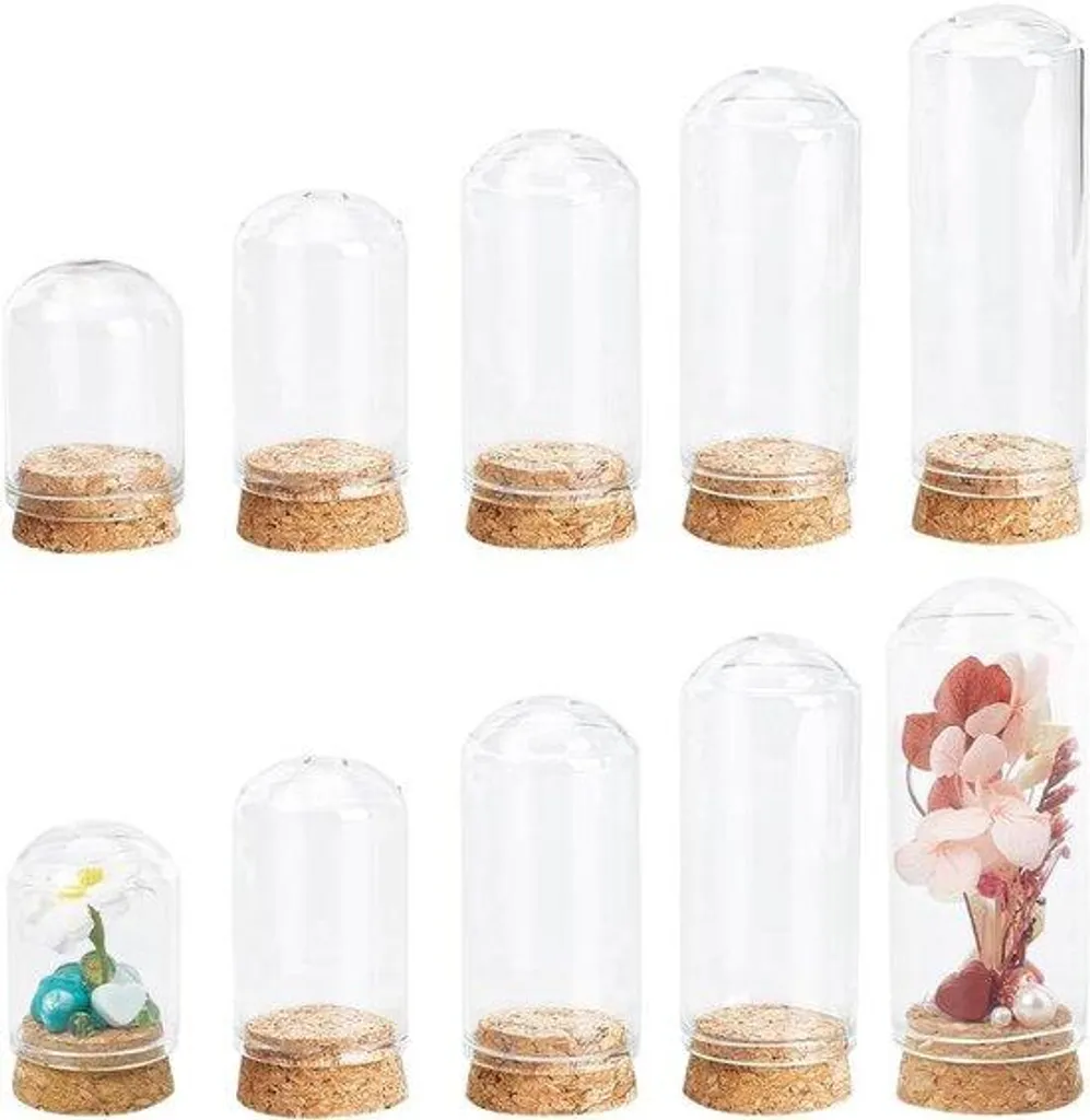 Cloche en verre Bell Jar avec socle en bois naturel - Dôme artisanal