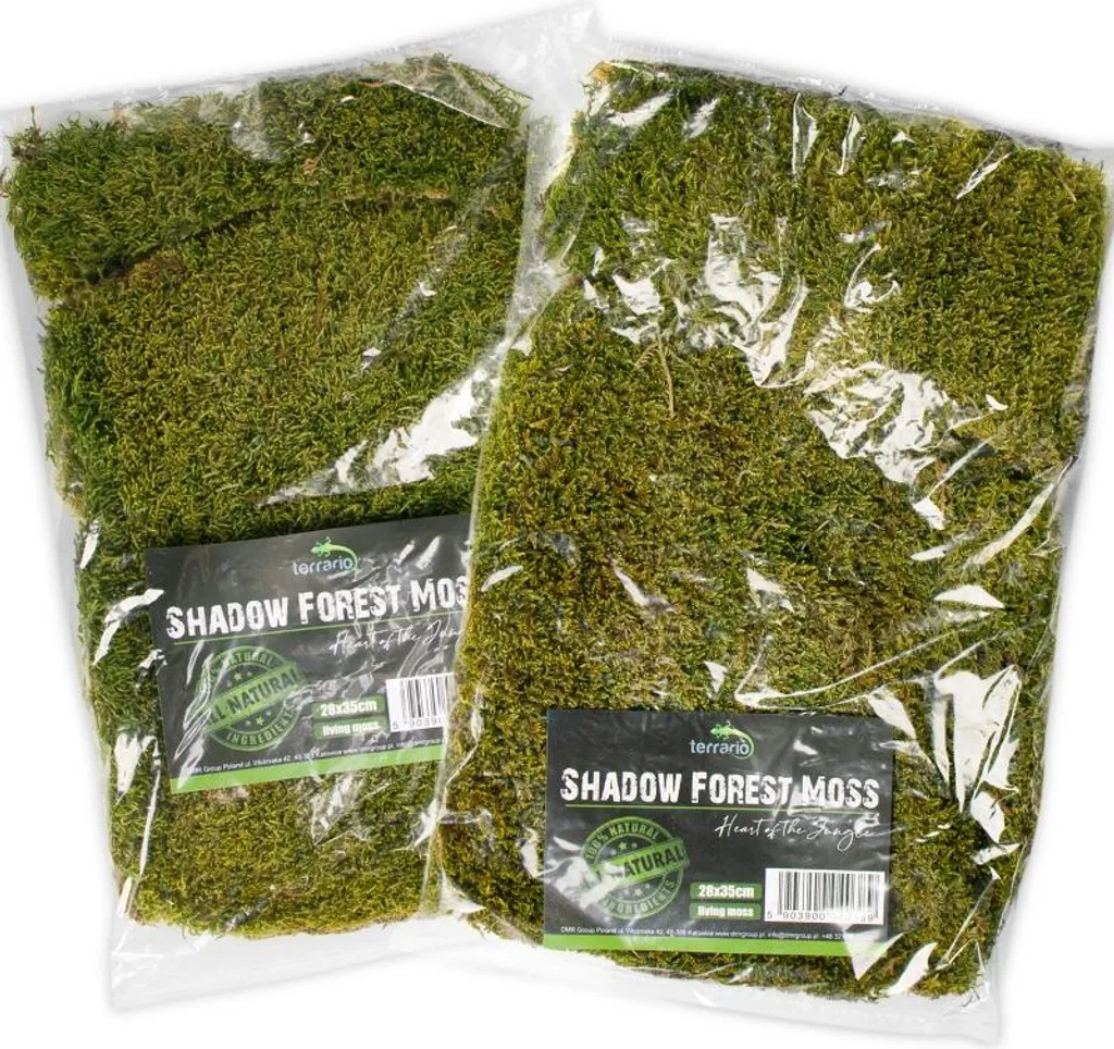 Tapis mousse naturelle 35x28cm Terrario Shadow Forest haute densité - 15