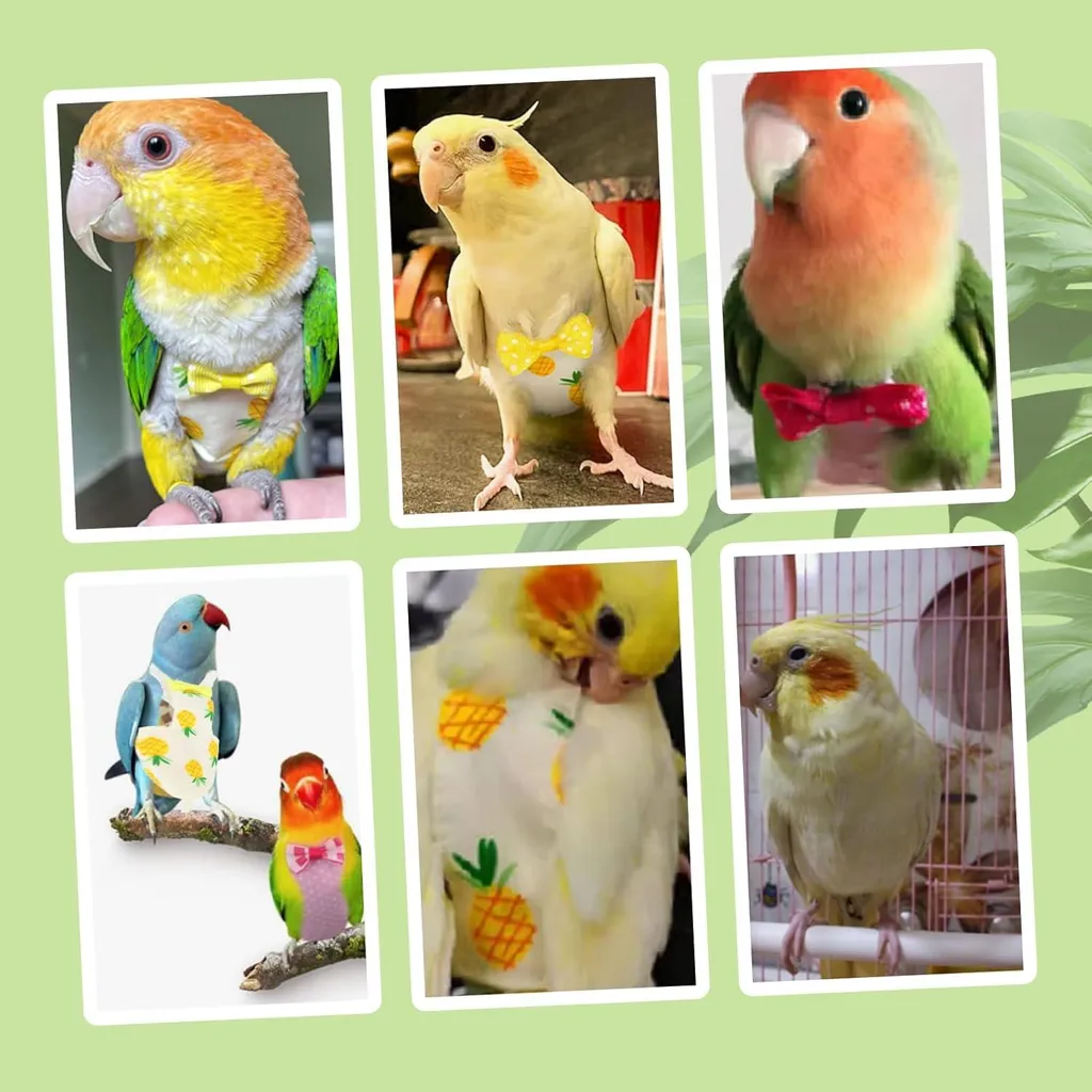 Harnais couche pour oiseaux et perroquets - Protection lavable Taille M - 2