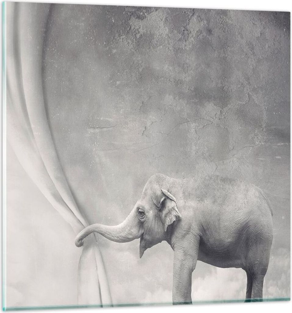 Bilder auf glas - Elefant Vorhang Abstraktion Phantasie - 50x50cm - Glasbilder - Wandbilder - Kunstdruck - Wanddekoration aus Glas - Glas Bilder - ...
