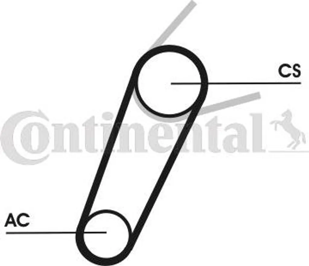 Courroie 5PK711 Continental Focus : solution OE 1301909 contre l'usure