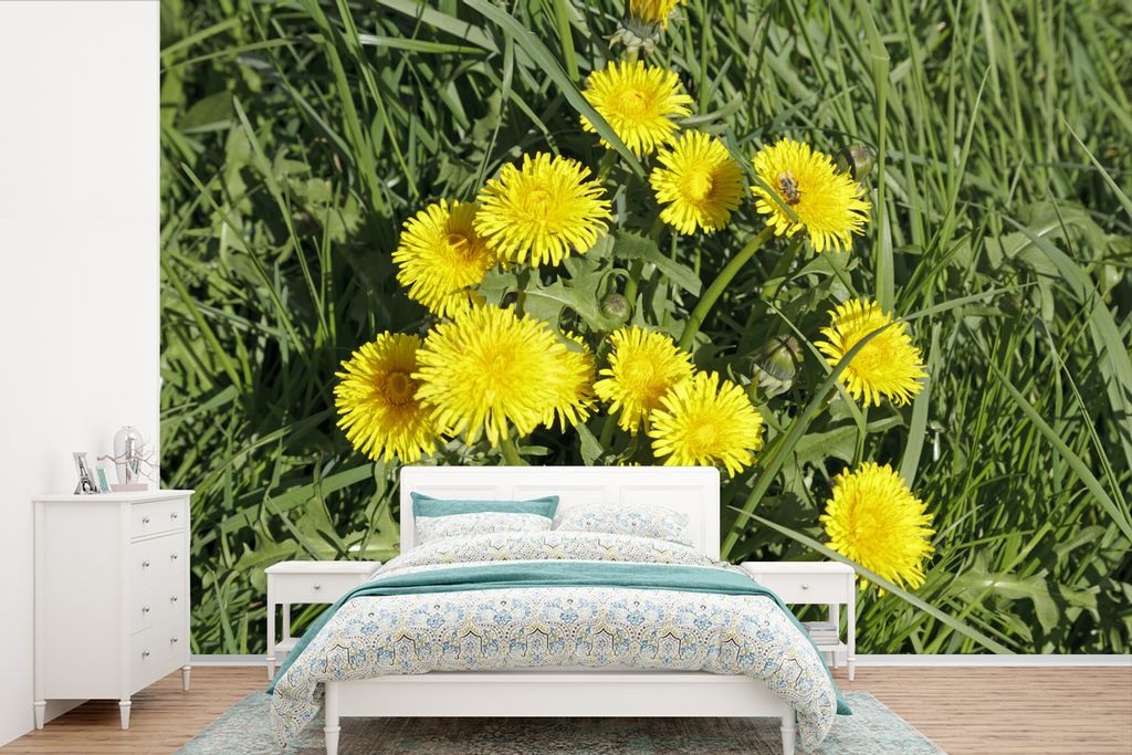 MuchoWow Fototapete für Wohnzimmer oder Schlafzimmer Wandtapete Vinyl Motivtapete Löwenzahn - Gras - Frühling - 420x280 cm - Zimmer für Kinder